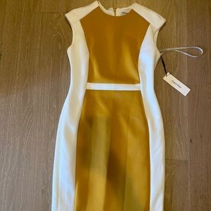 Calvin Klein dress
